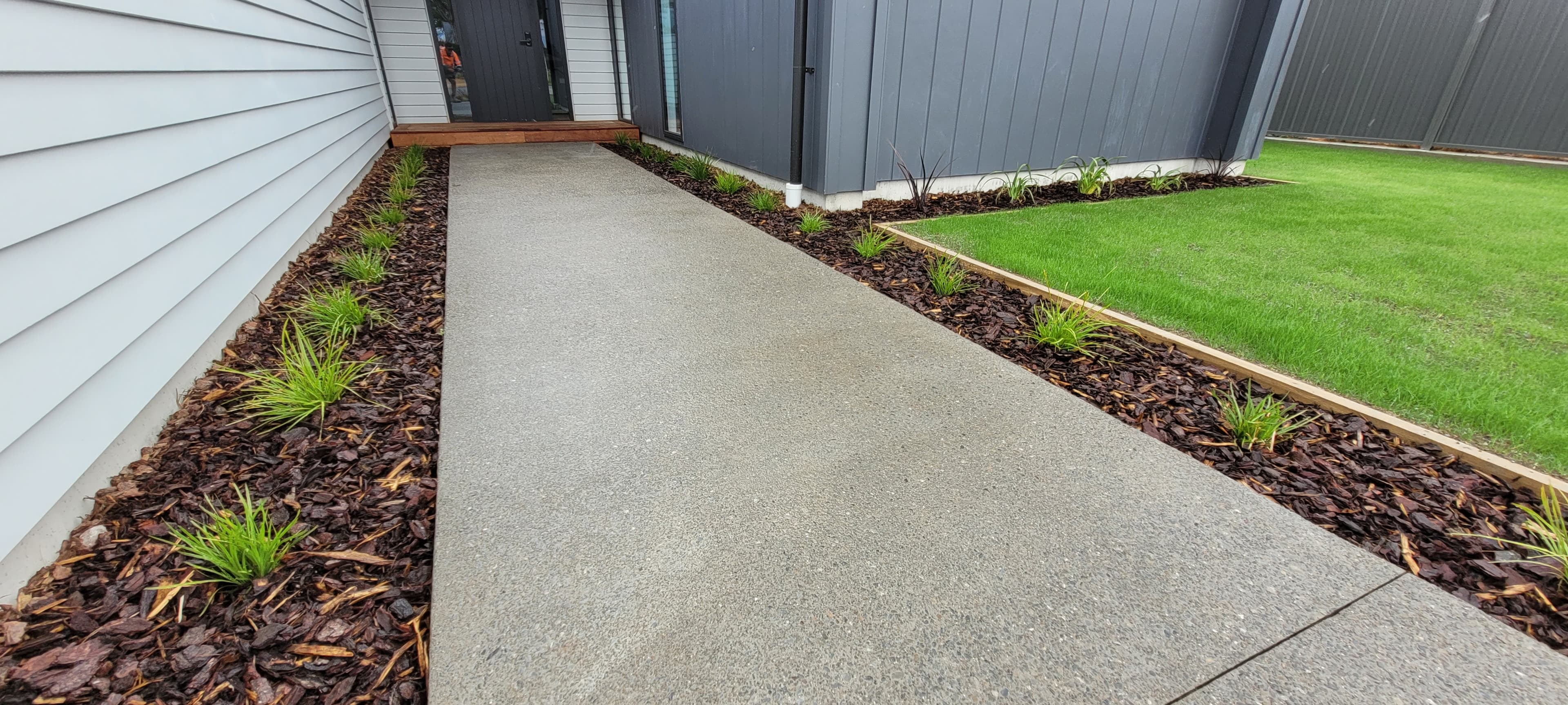 Planting project by iScape Limited in Wellington